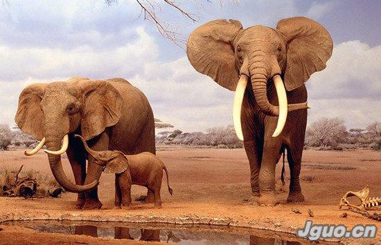 小牛手工制作面具图片