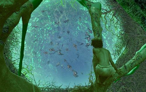 [转]《少年派的奇幻漂流》8句经典台词