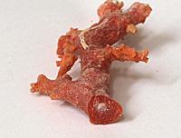 解密珊瑚3大名门——阿卡AKA、MOMO、沙丁的区别