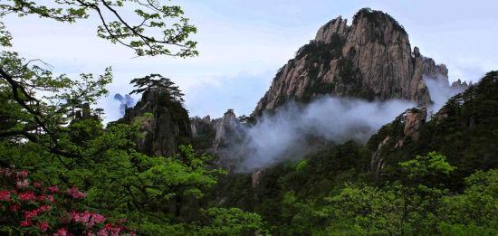 黄山的春天,除了奇松异石,还有高山杜鹃,无名野花.