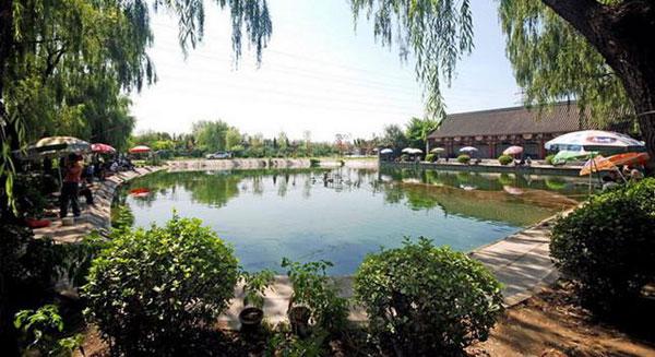 设计图分享 家庭小庭院设计图纸 > 家庭小院种菜设计图 家庭小院种菜