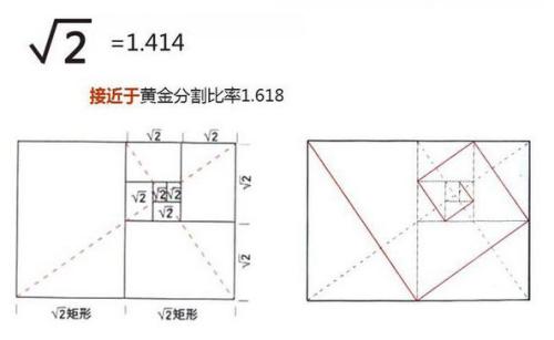 从胫节贝螺的生长螺纹线可以看出: 黄金分割三角形是它不断趋向完美