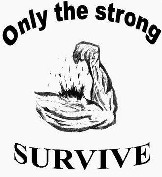 你究竟有多想成功(附全文文本)