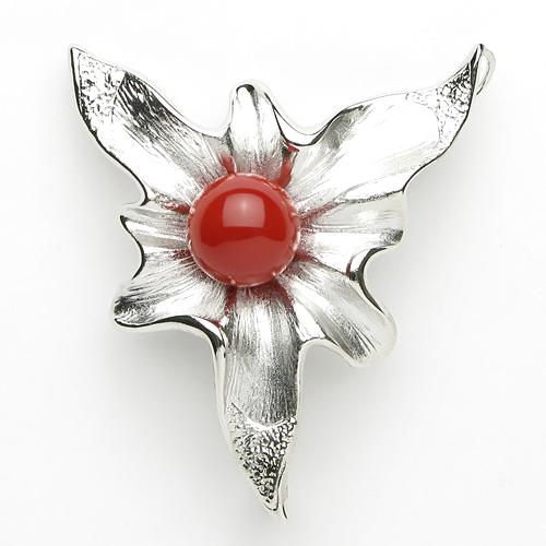 解密珊瑚3大名门——阿卡AKA、MOMO、沙丁的区别