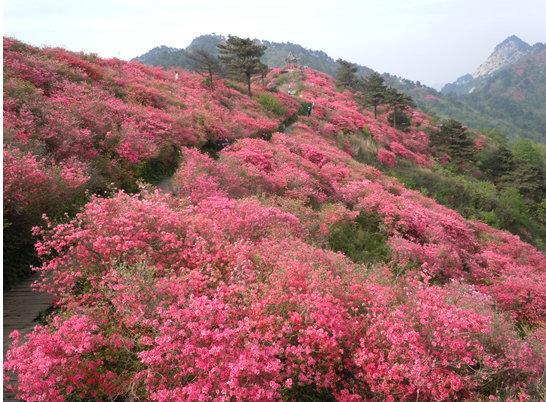 昆明周边非著名旅游景点自助游攻略