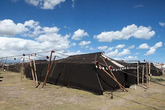 黑牛毛帐篷 西藏牧民的家园