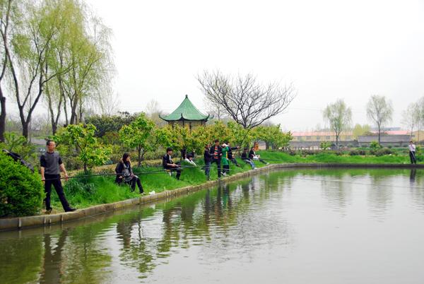 江宁:六顺生态农艺园