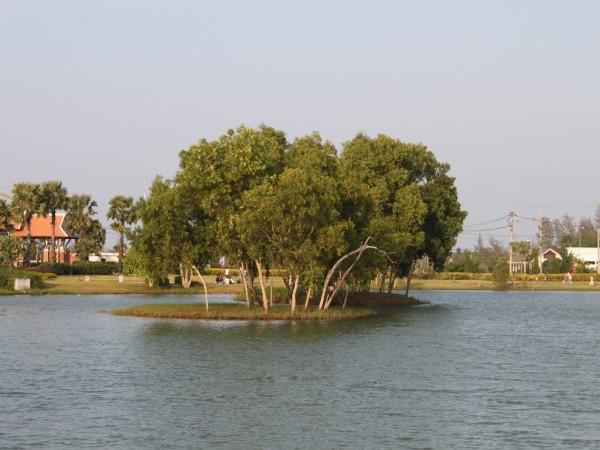 【旅圖文】泰國宋卡湖邊上的風景~特別的風情