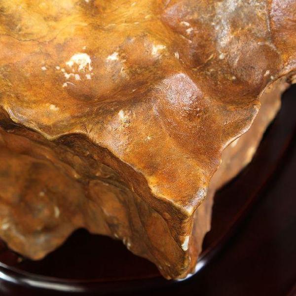 宜居品阁 广西天然稀缺奇石观赏石 来宾水冲石黄金石 小狗yws1260