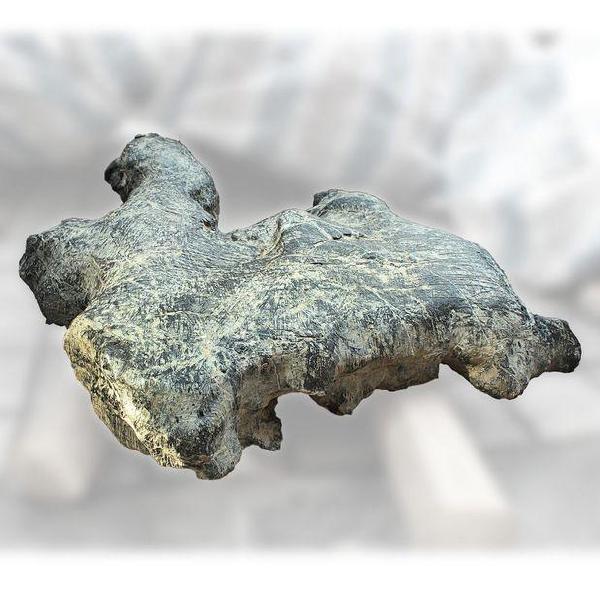 宜居品阁 广西天然奇石 观赏石 墨石 来宾水冲石 yws1208 神兽