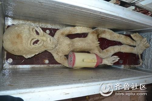 滨州市民李凯意外电死外星人 并冷冻在自己冰柜中_环球塑化网