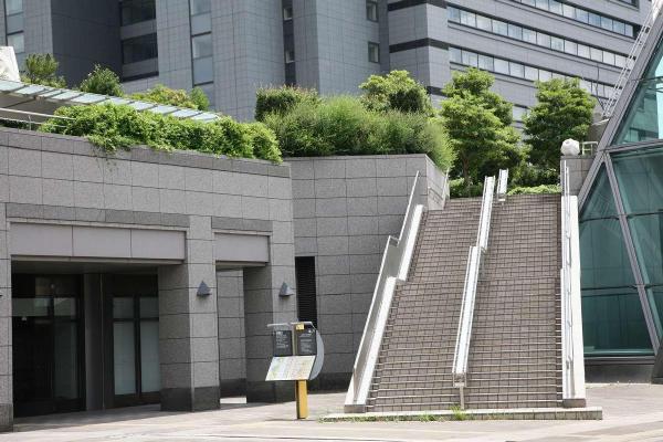 日本琦玉新都心榉树广场