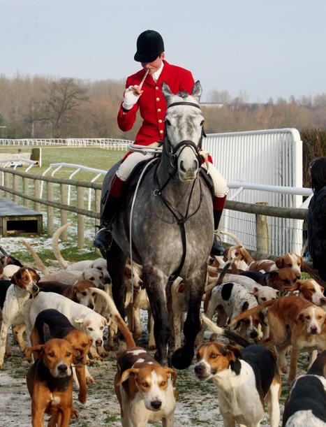 贵族运动进阶白皮书