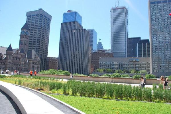 nathan phillips广场与屋顶花园