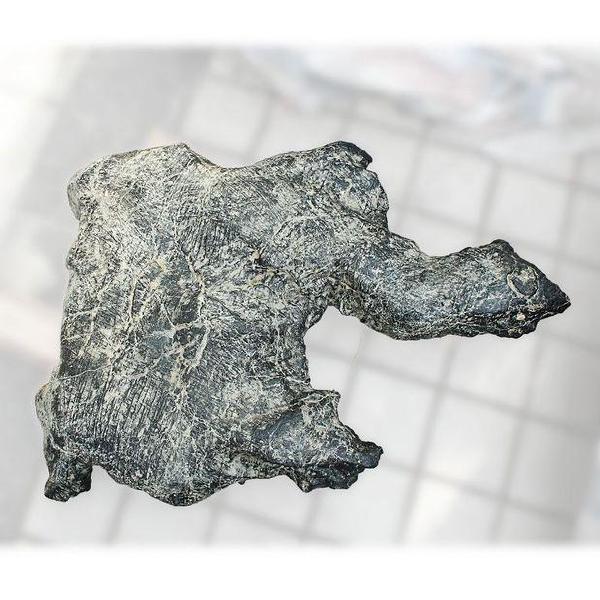 宜居品阁 广西天然奇石 观赏石 墨石 来宾水冲石 yws1208 神兽