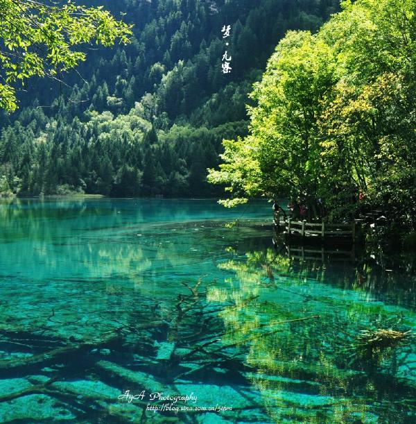 九寨沟迷人的孔雀湖