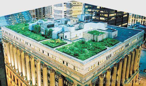 芝加哥市政厅的绿色屋顶