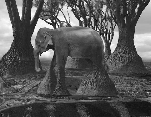 摄影艺术:疯狂的创意 蒙太奇摄影 - 创意画报 - 哇噻网