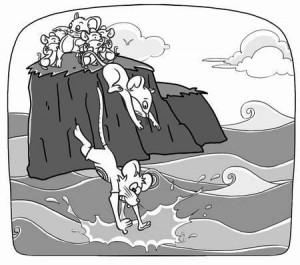 市场先生和旅鼠效应 | 自由老木头网